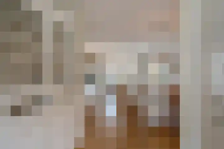 Porfier 6 Zoetermeer thumbnail 18