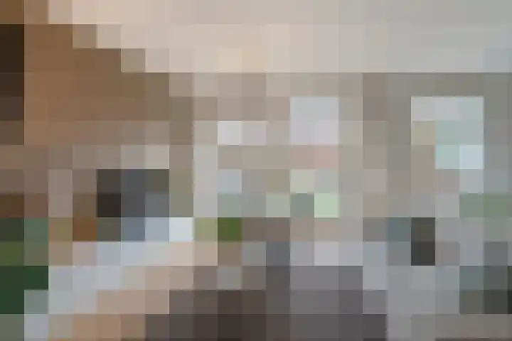 Porfier 6 Zoetermeer thumbnail 19