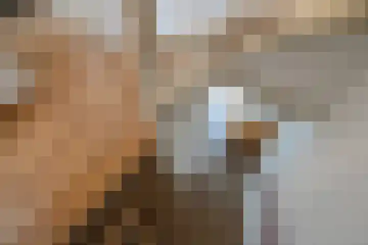 Porfier 6 Zoetermeer thumbnail 22