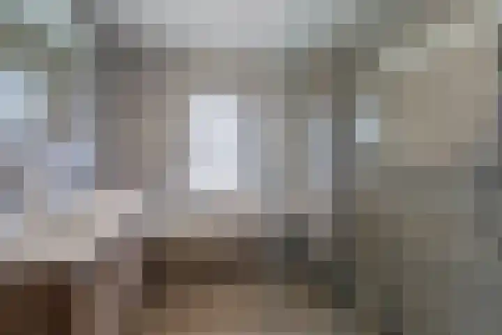 Porfier 6 Zoetermeer thumbnail 26
