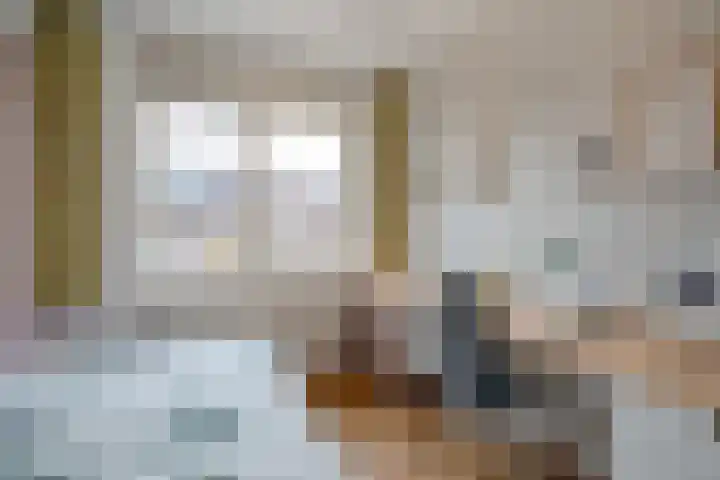 Porfier 6 Zoetermeer thumbnail 28