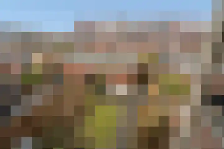 Porfier 6 Zoetermeer thumbnail 30