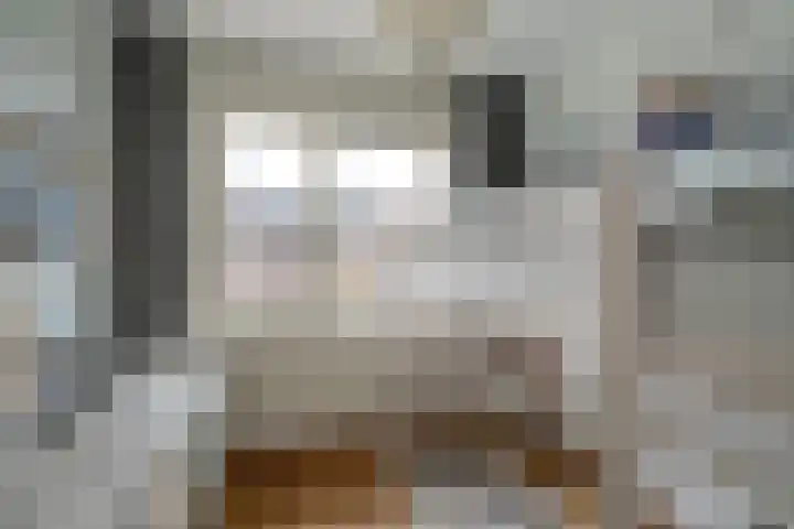 Porfier 6 Zoetermeer thumbnail 32