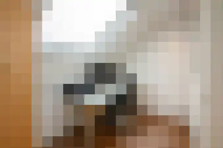 Porfier 6 Zoetermeer thumbnail 36