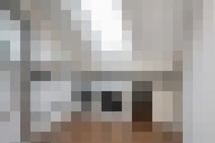 Porfier 6 Zoetermeer thumbnail 37