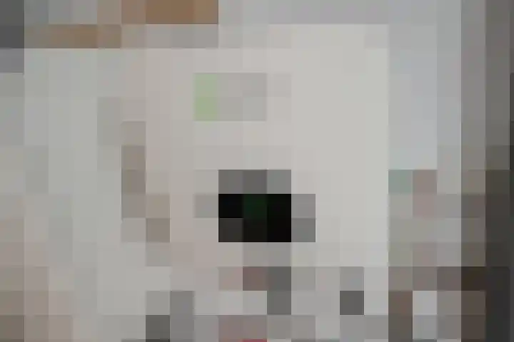 Porfier 6 Zoetermeer thumbnail 38