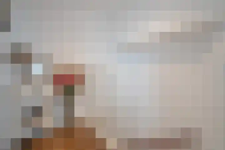 Porfier 6 Zoetermeer thumbnail 39