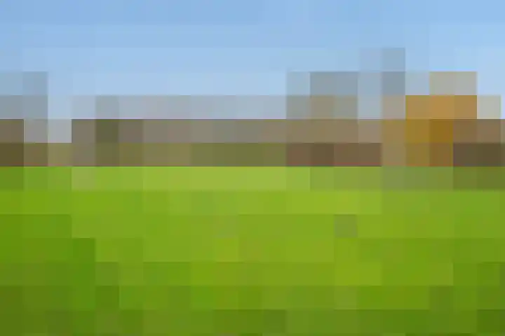 Porfier 6 Zoetermeer thumbnail 44