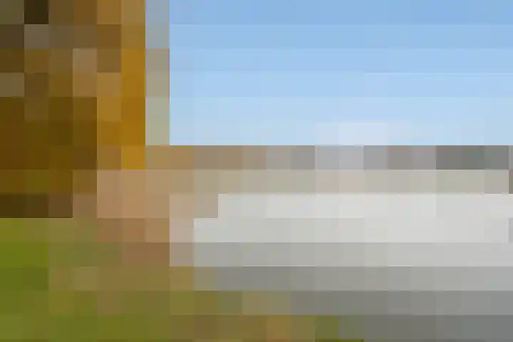 Porfier 6 Zoetermeer thumbnail 45