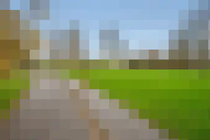 Porfier 6 Zoetermeer thumbnail 46