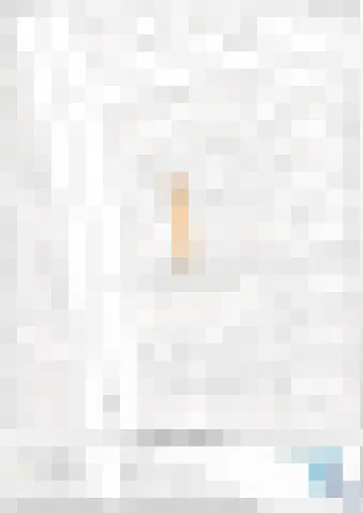 Porfier 6 Zoetermeer thumbnail 53