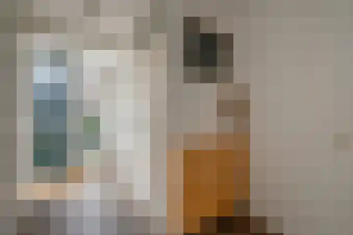 Porfier 6 Zoetermeer thumbnail 6