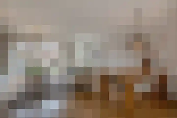 Porfier 6 Zoetermeer thumbnail 7