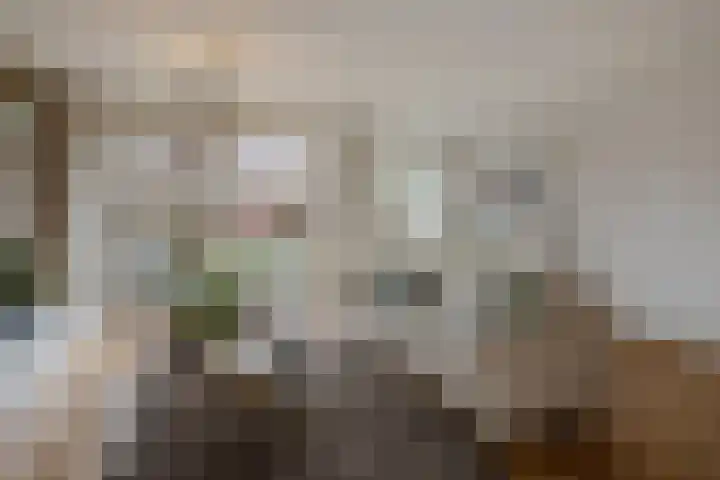 Porfier 6 Zoetermeer thumbnail 8
