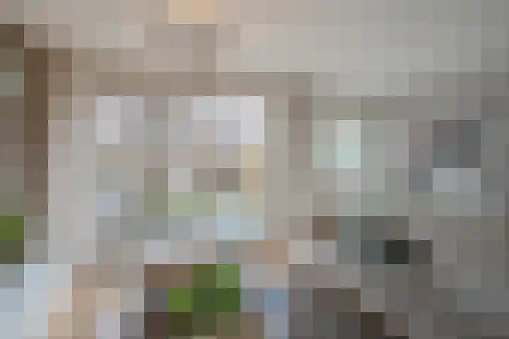 Porfier 6 Zoetermeer thumbnail 9
