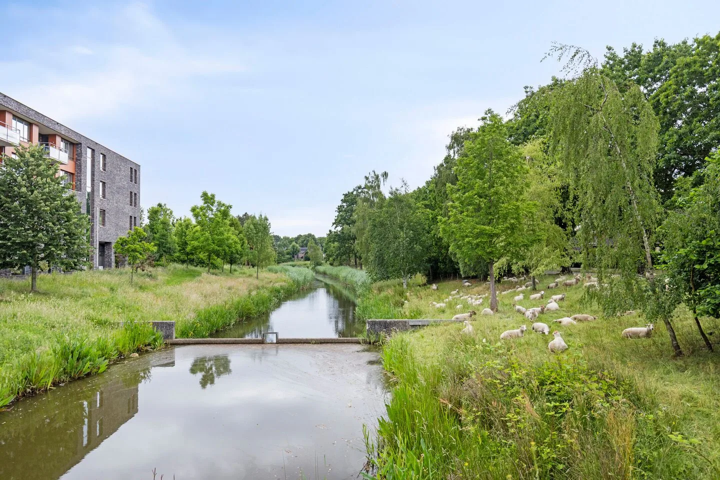 Porfierdijk 31 Roosendaal thumbnail 75