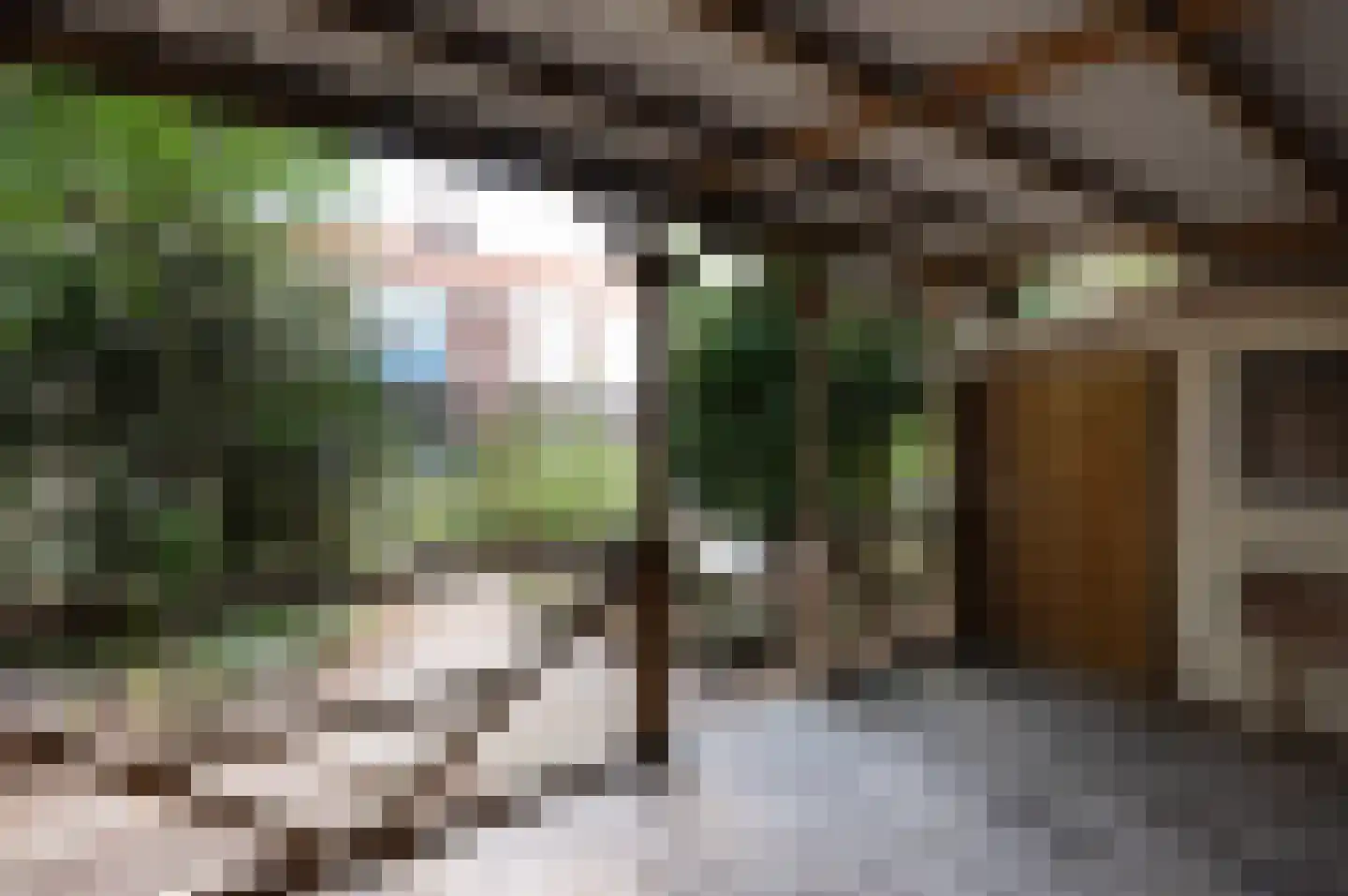 Porfierstraat 14 Swifterbant thumbnail 33
