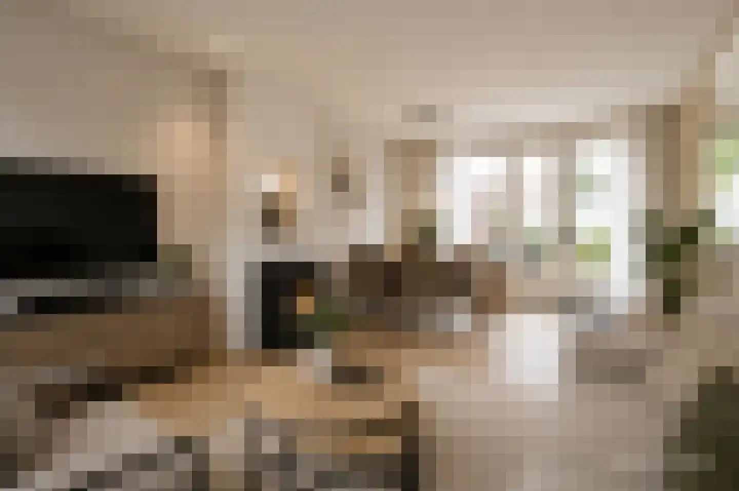 Porfierstraat 14 Swifterbant thumbnail 6