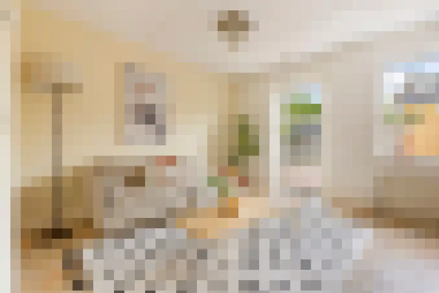 Porfierstraat 31 Groningen thumbnail 11