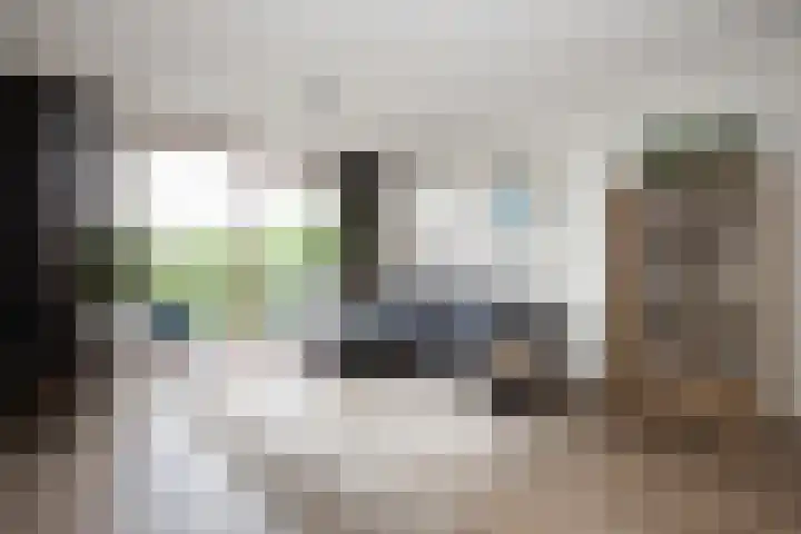 Porporastraat 102 Zwolle thumbnail 8