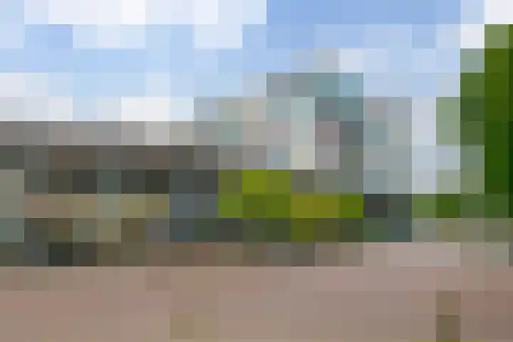 Porporastraat 106 Zwolle thumbnail 35