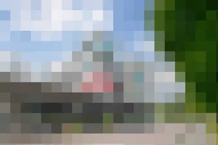 Porporastraat 106 Zwolle thumbnail 4