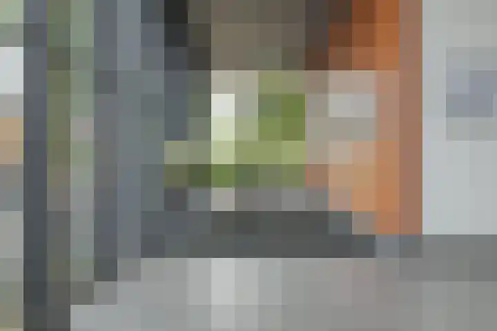 Porporastraat 106 Zwolle thumbnail 8