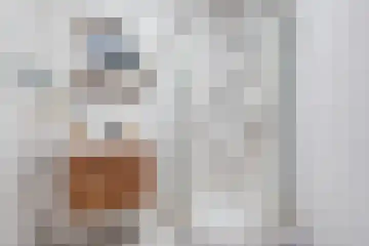 Porporastraat 110 Zwolle thumbnail 33