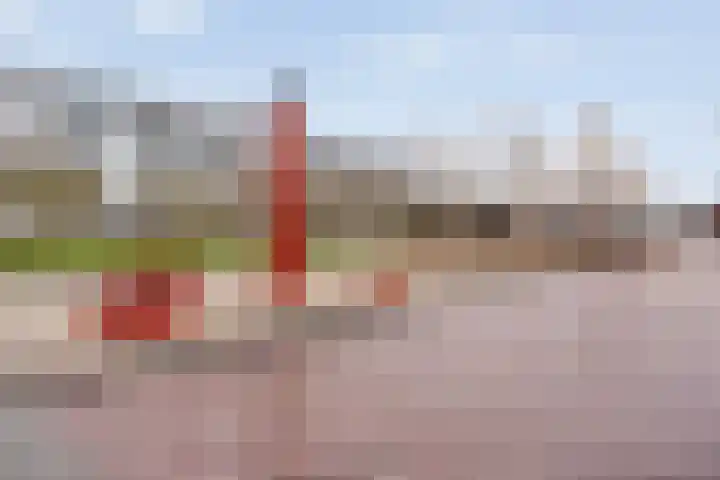 Porporastraat 110 Zwolle thumbnail 35