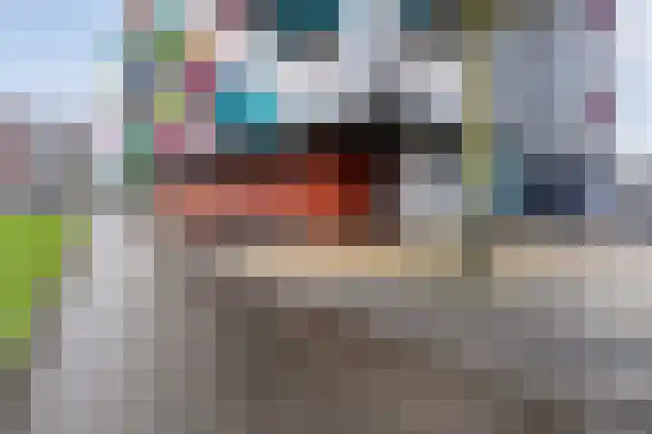 Porporastraat 110 Zwolle thumbnail 7