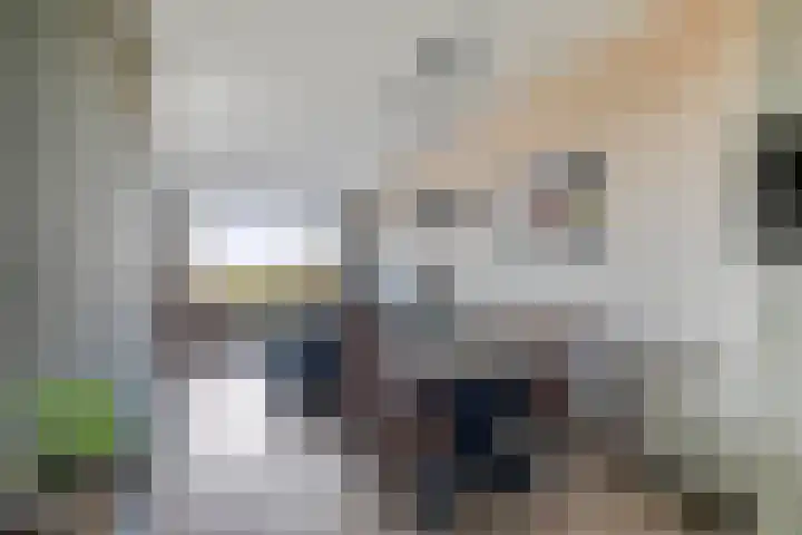 Porporastraat 124 Zwolle thumbnail 18