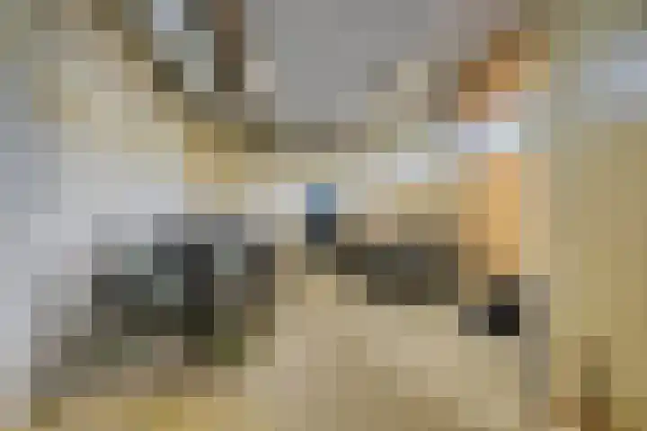Porporastraat 124 Zwolle thumbnail 34