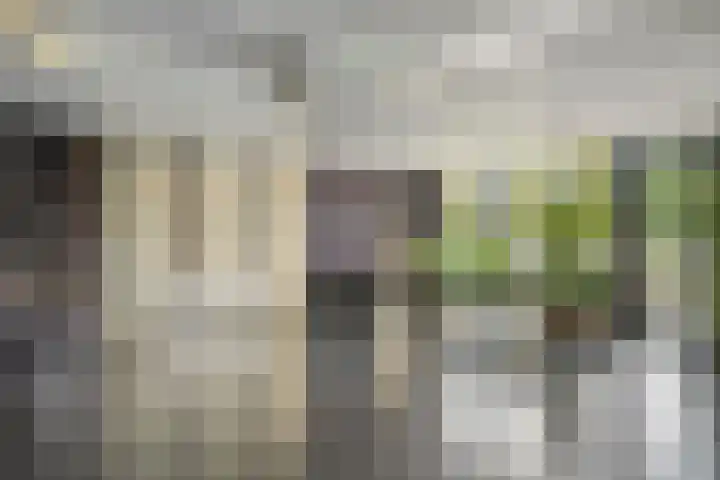 Porporastraat 124 Zwolle thumbnail 37