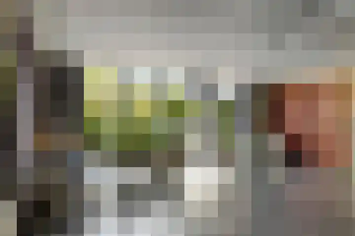 Porporastraat 124 Zwolle thumbnail 38