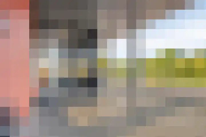 Porporastraat 124 Zwolle thumbnail 5