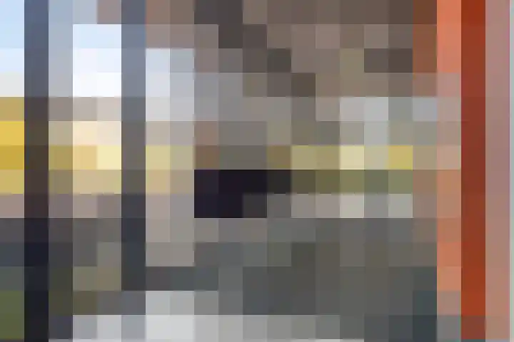 Porporastraat 124 Zwolle thumbnail 6