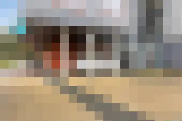 Porporastraat 132 Zwolle thumbnail 4