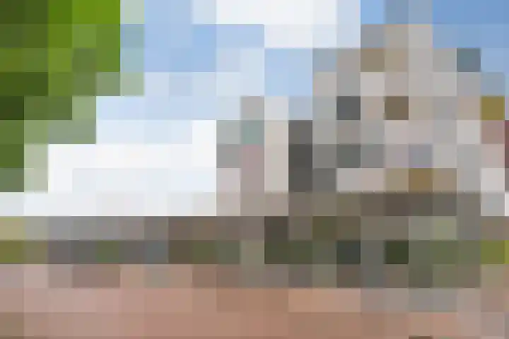 Porporastraat 142 Zwolle thumbnail 34
