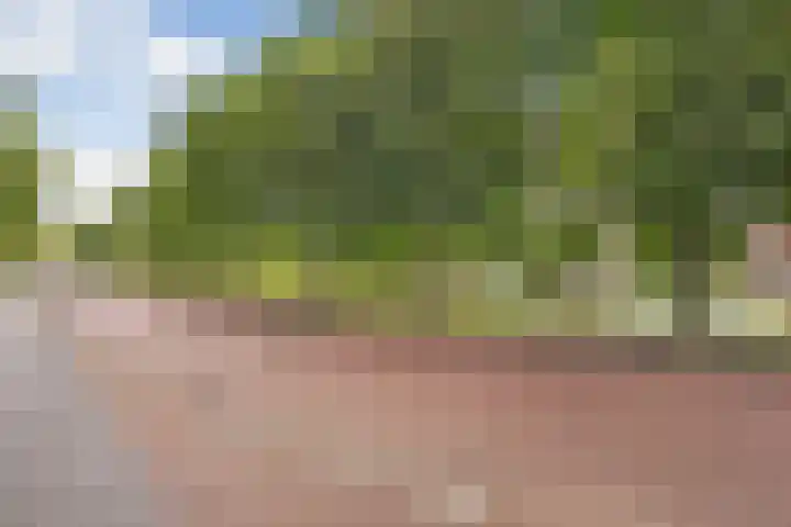 Porporastraat 142 Zwolle thumbnail 35