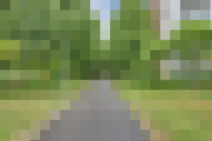 Porporastraat 142 Zwolle thumbnail 36