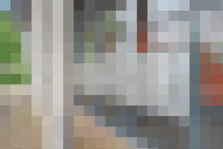 Porporastraat 142 Zwolle thumbnail 4