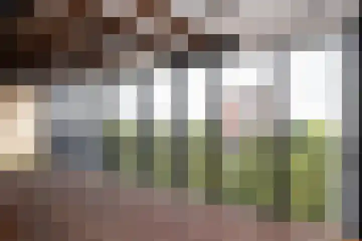 Porporastraat 156 Zwolle thumbnail 15