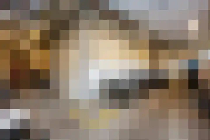 Porporastraat 156 Zwolle thumbnail 23