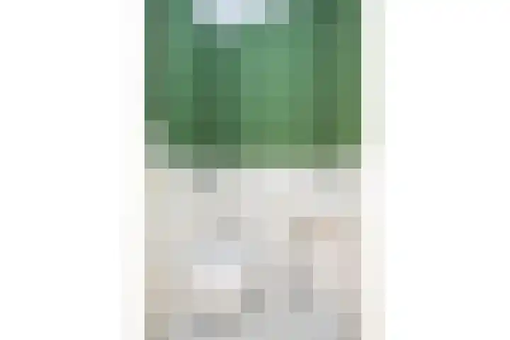 Porporastraat 156 Zwolle thumbnail 7