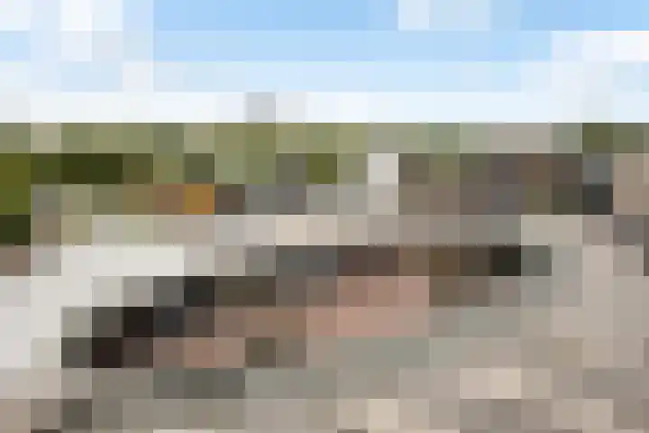 Porporastraat 156 Zwolle thumbnail 9