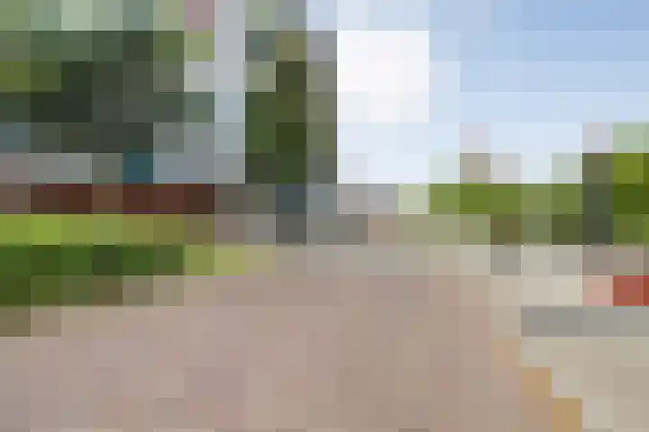 Porporastraat 166 Zwolle thumbnail 31