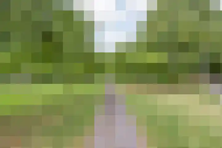Porporastraat 166 Zwolle thumbnail 32