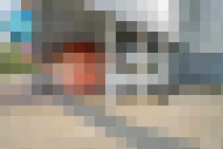 Porporastraat 166 Zwolle thumbnail 5
