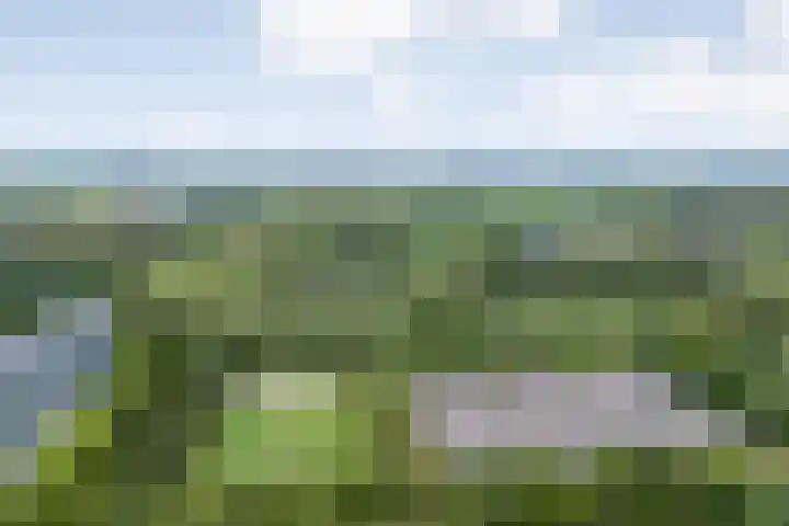 Porporastraat 166 Zwolle thumbnail 7
