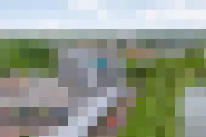 Porporastraat 166 Zwolle thumbnail 8